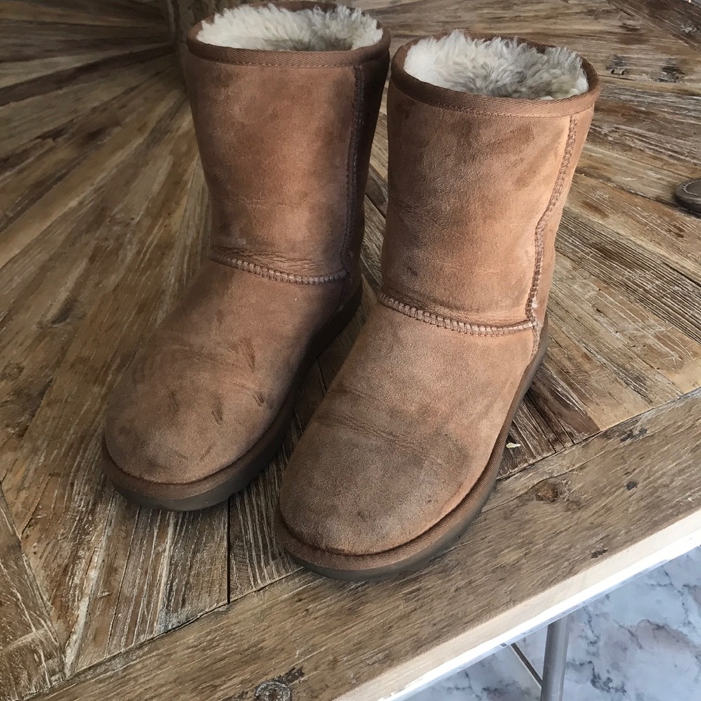 Chestnut Uggs- Size 7